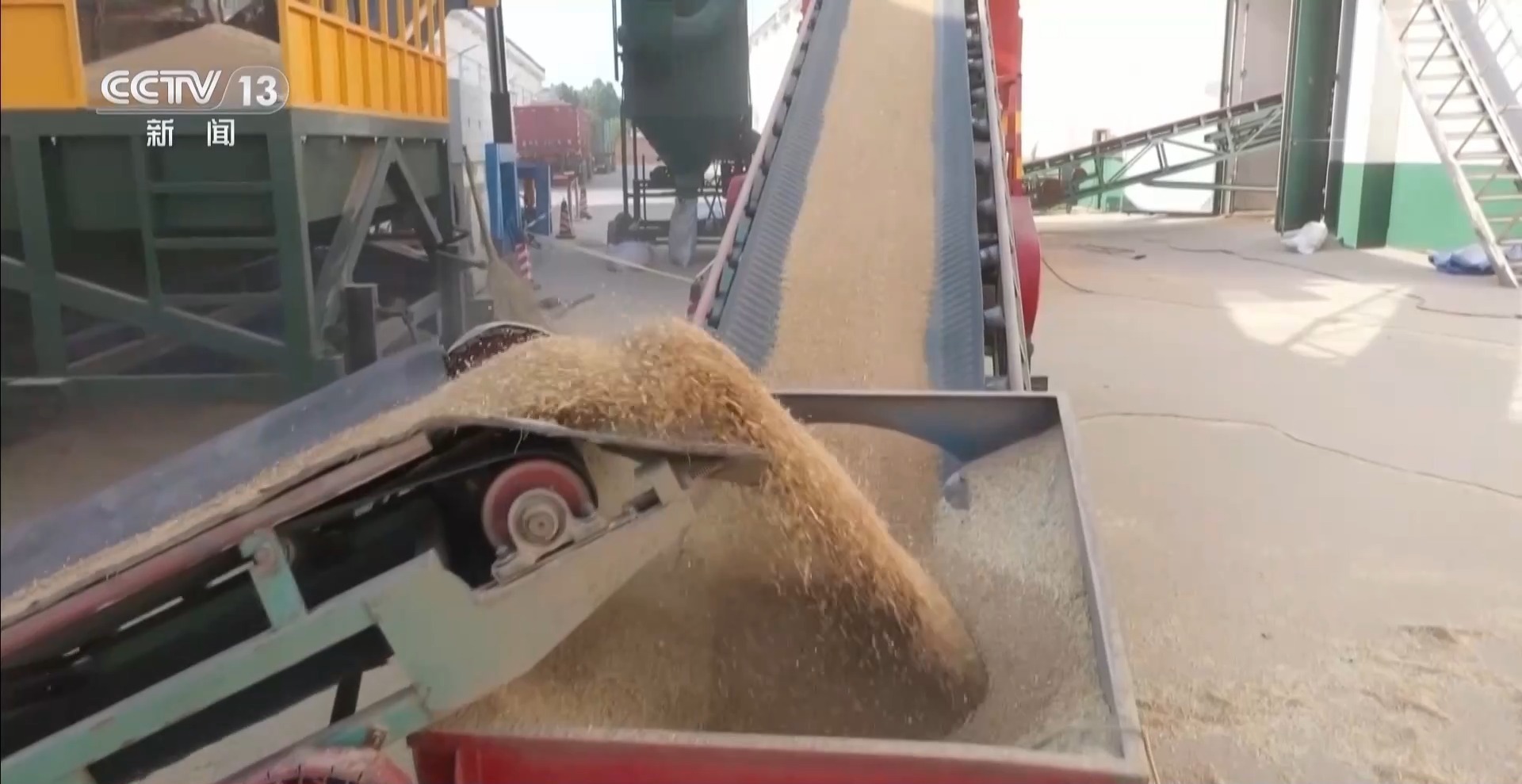 夏粮收购进行时 今年新麦有点香 价格稳中有升有保障 夏粮收购进行时 今年新麦有点香 价格稳中有升有保障