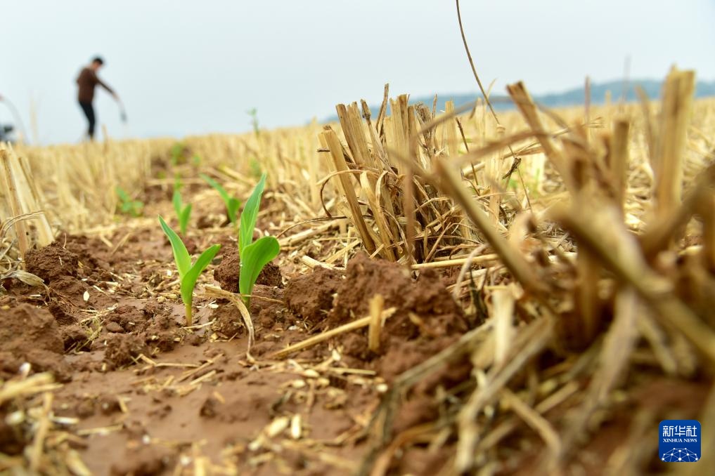 我国部分地区出现高温天气