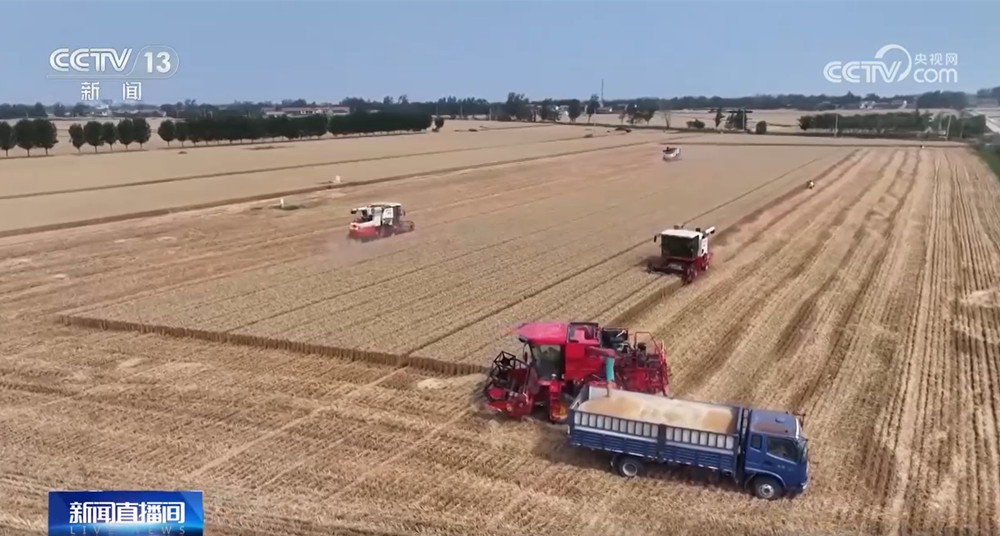 由“看天吃饭”转向“旱涝保收” 小麦丰收新麦上市 价格有望稳中有升 由“看天吃饭”转向“旱涝保收” 小麦丰收新麦上市 价格有望稳中有升