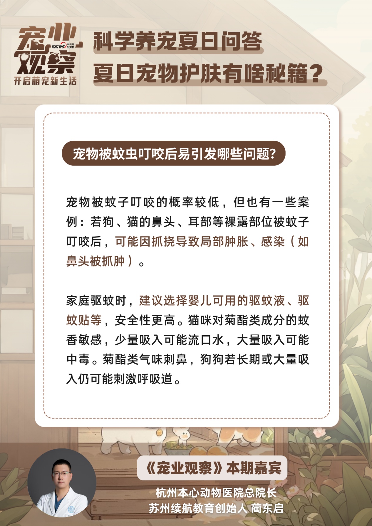 夏日宠物护肤秘籍：拒绝皮肤小烦恼，做清爽毛孩子！