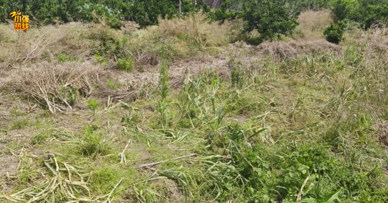 “被偷光了!”浙江有人报警,民警上门一看惊呆:整整100多斤… “被偷光了!”浙江有人报警,民警上门一看惊呆:整整100多斤…