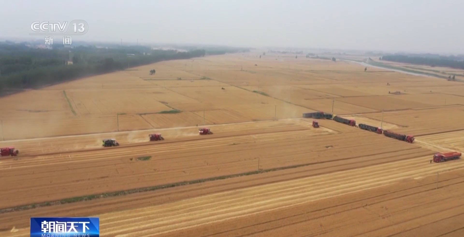 夏粮收购进行时 今年新麦有点香 价格稳中有升有保障 夏粮收购进行时 今年新麦有点香 价格稳中有升有保障