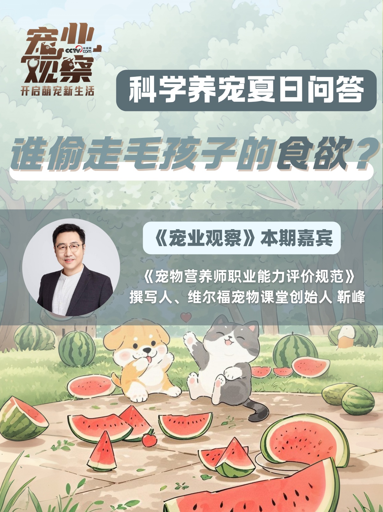图说 | 毛孩子夏日干饭难题:是谁偷了我的食欲?答案在这里! 图说 | 毛孩子夏日干饭难题:是谁偷了我的食欲?答案在这里!