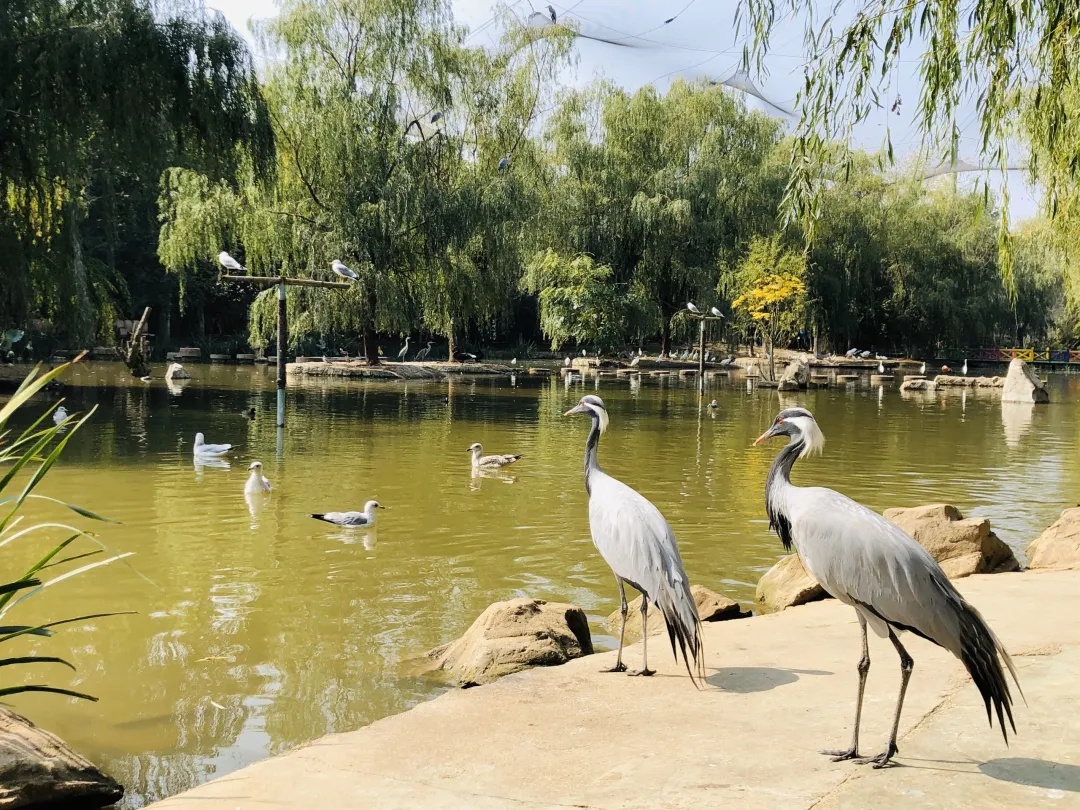 准考证别扔!多家热门景区邀你免费游 准考证别扔!多家热门景区邀你免费游