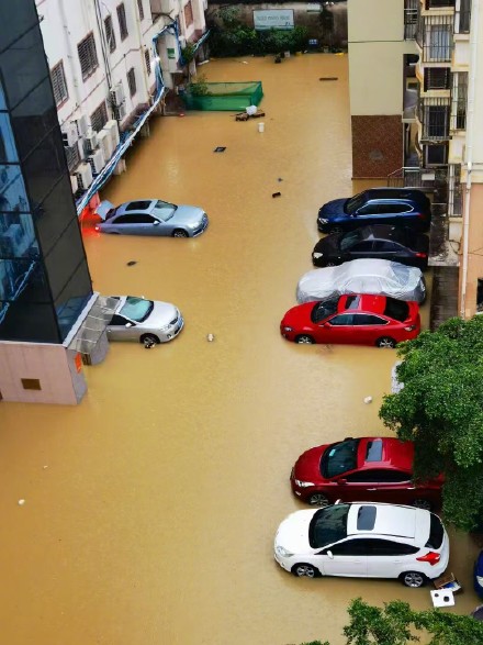广西南宁武鸣区出现大到暴雨 广西南宁武鸣区出现大到暴雨