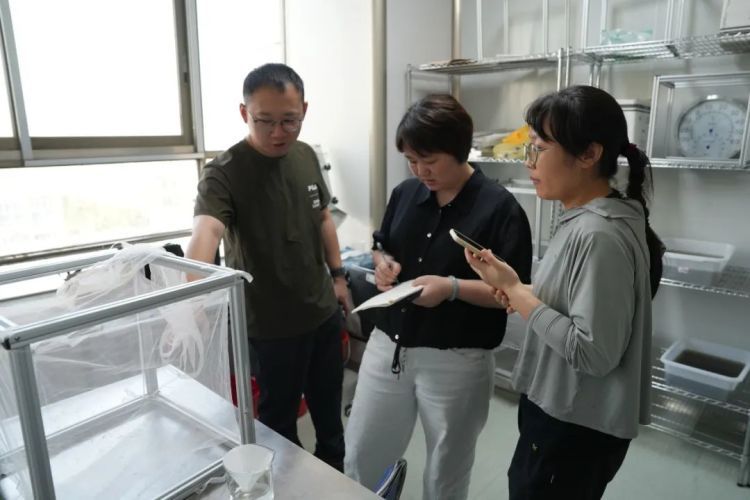 慎点！有群人专门养蚊子，已养了几万只