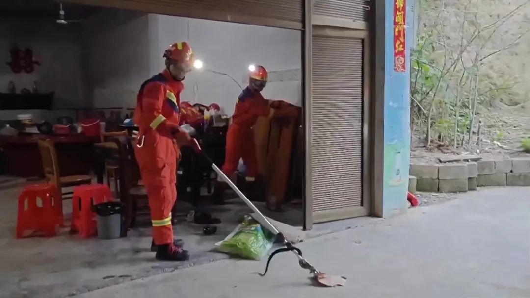 家中猫咪对着闲置竹床嘶吼，上前察看吓到腿软！竟是眼镜蛇闯入家中