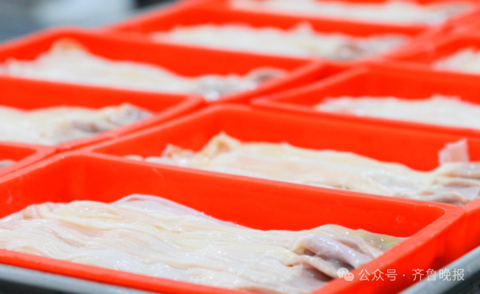 为什么一只活鸭上百元,一只烤鸭只要25元?真相揭晓...... 为什么一只活鸭上百元,一只烤鸭只要25元?真相揭晓......