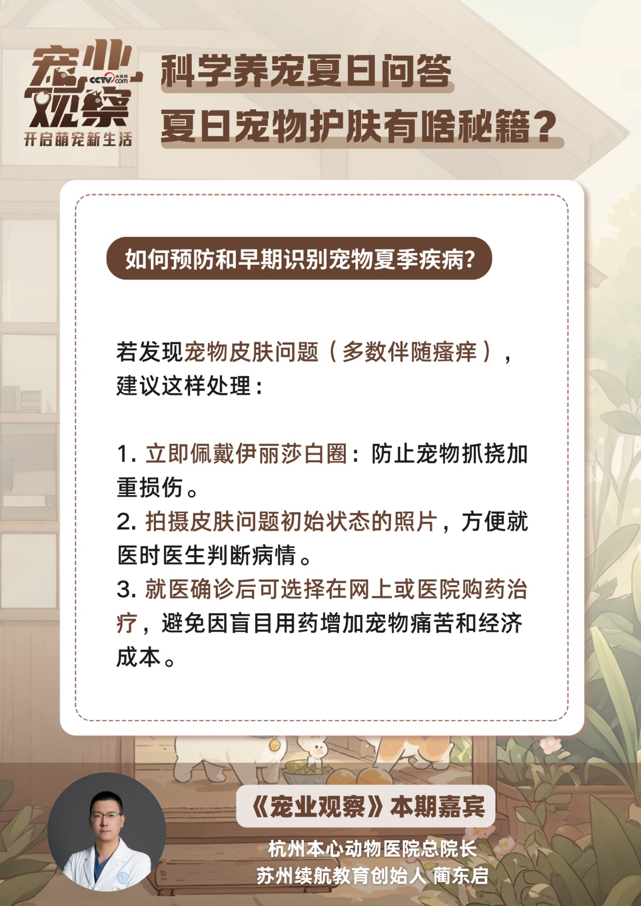 夏日宠物护肤秘籍：拒绝皮肤小烦恼，做清爽毛孩子！