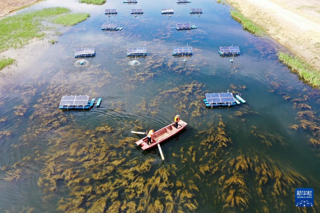 新华全媒+｜天空之眼瞰祖国——黄河“几字弯” 美丽新生态