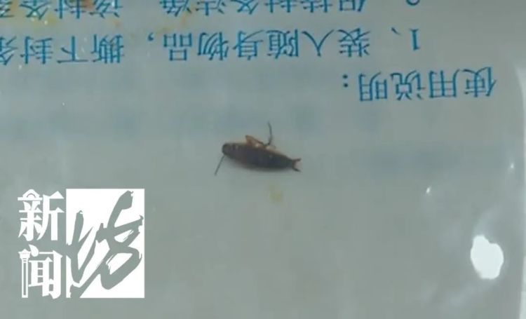 男子在沪找到“生财之道”,上海警方:刑拘! 男子在沪找到“生财之道”,上海警方:刑拘!