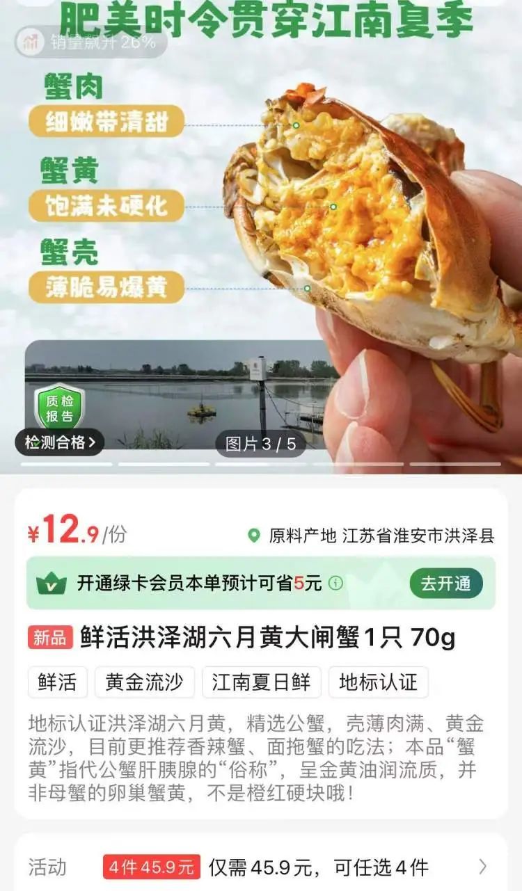 上海人钟爱的“六月黄”悄然上市，1.8两的菜场里10元就能买到！面拖蟹、炒年糕烧起来