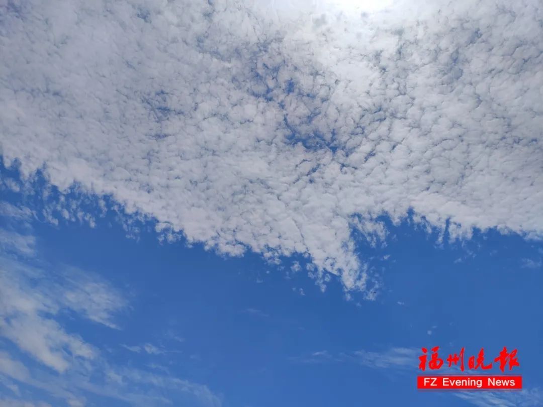 热带低压生成!福建发布暴雨预警! 热带低压生成!福建发布暴雨预警!