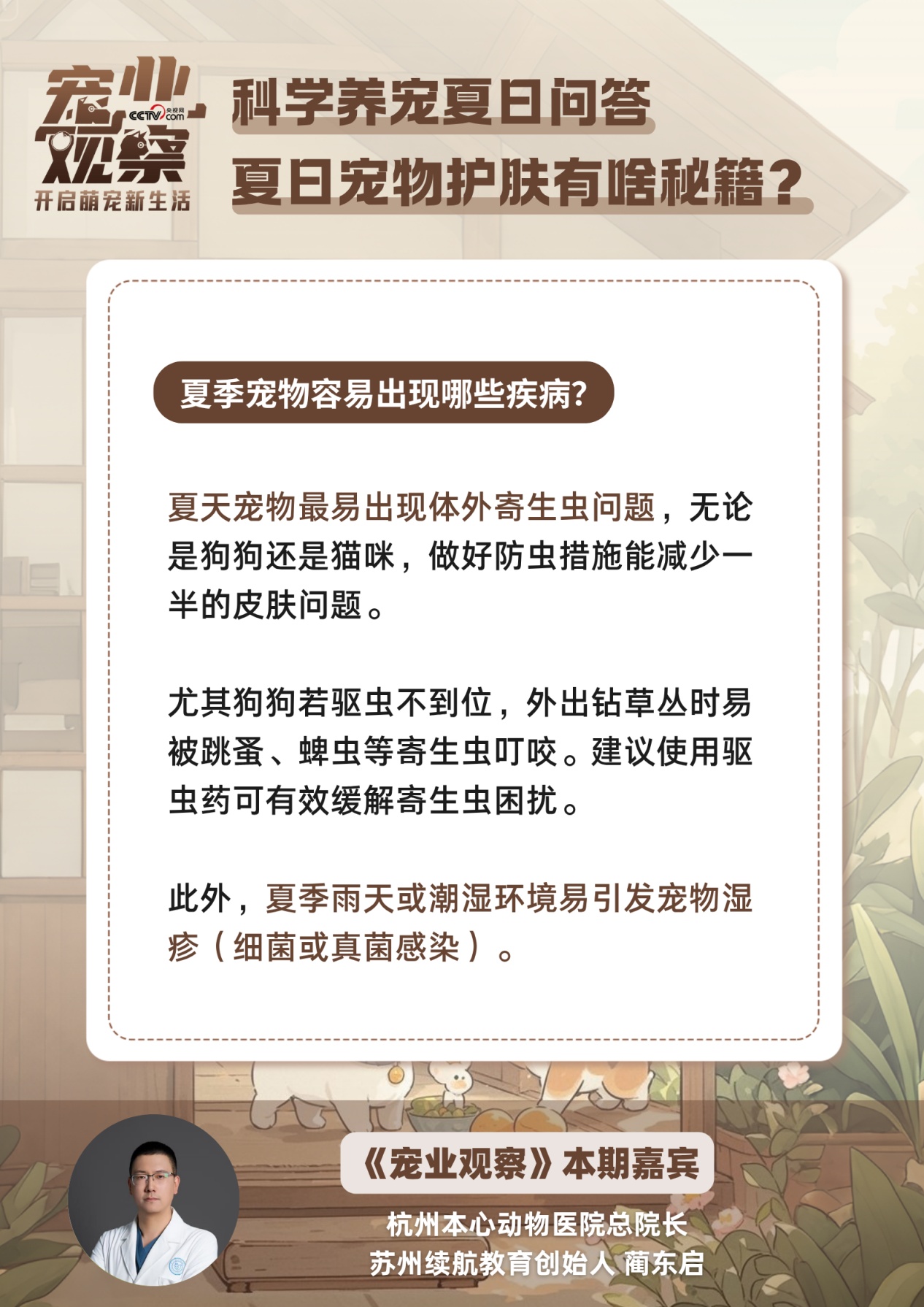 夏日宠物护肤秘籍：拒绝皮肤小烦恼，做清爽毛孩子！