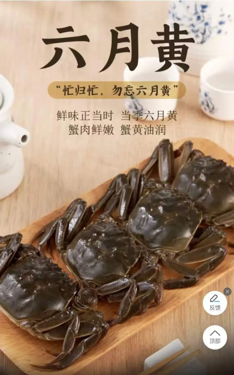 上海人钟爱的“六月黄”悄然上市，1.8两的菜场里10元就能买到！面拖蟹、炒年糕烧起来