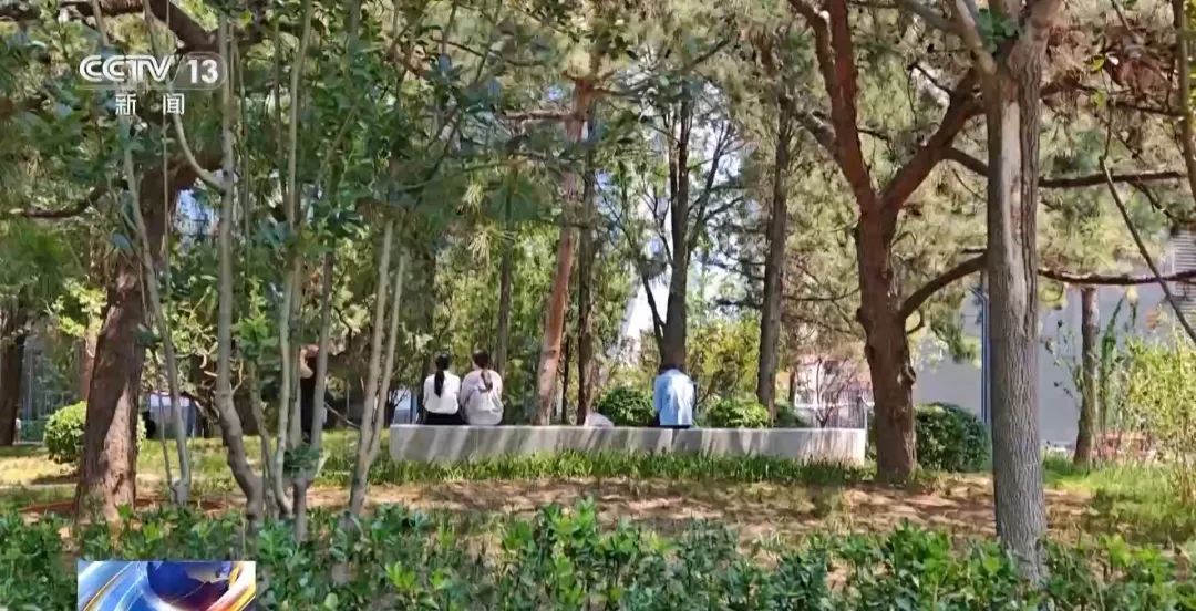 光发工资不用干活？这也是诈骗！