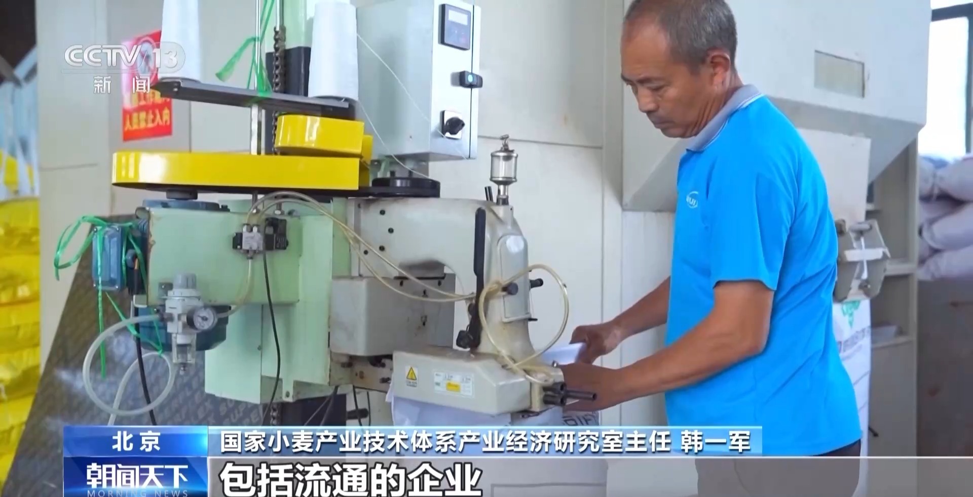 夏粮收购进行时 今年新麦有点香 价格稳中有升有保障 夏粮收购进行时 今年新麦有点香 价格稳中有升有保障