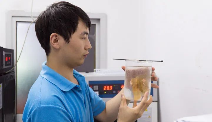 你好，这是我的名字“鱼人叶硝水母”，请多关照！