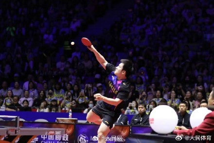 樊振东逆转战胜林诗栋 樊振东逆转战胜林诗栋