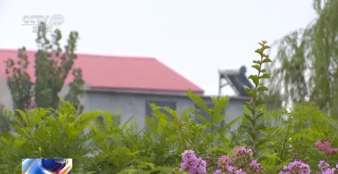 一声“奶奶救我”！骗走老人全部积蓄……