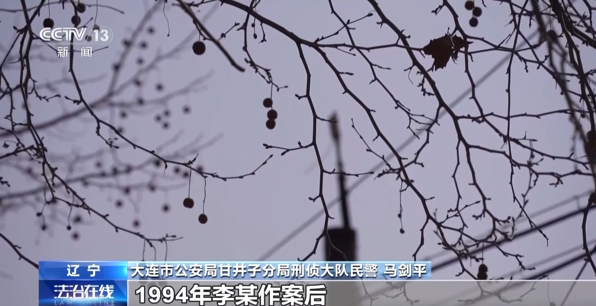 法治在线丨换再多网络“马甲”照样找到你!嫌犯潜逃31年落网 法治在线丨换再多网络“马甲”照样找到你!嫌犯潜逃31年落网