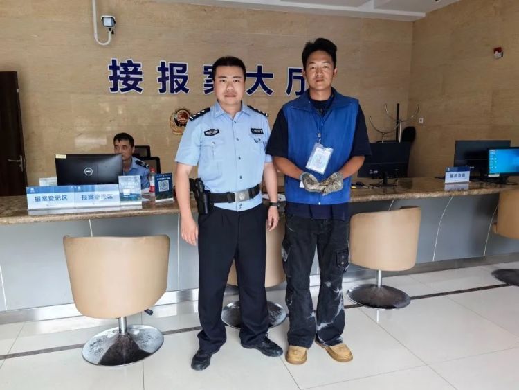 小伙上山遇到了一只乌龟，一查竟然是国家二级保护野生动物！