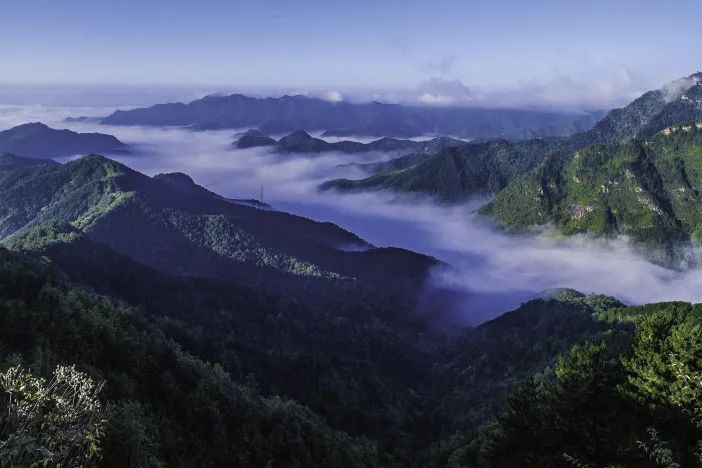 凭此证，老君山、白云山...多家景区免门票！