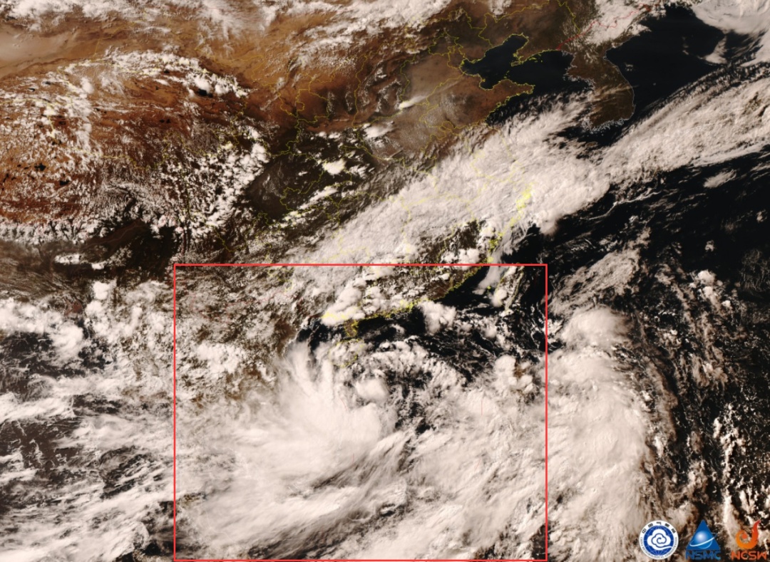 今年第1号台风来了!今日起至本周末,华南、江南注意暴雨、大暴雨! 今年第1号台风来了!今日起至本周末,华南、江南注意暴雨、大暴雨!