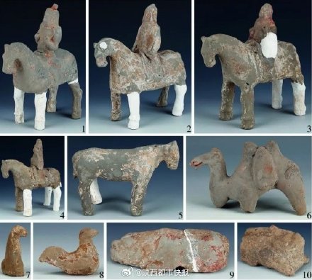 北周徐氏家族墓地发掘简报公布 北周徐氏家族墓地发掘简报公布