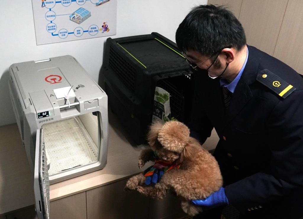 带宠物出行，如何更友好？