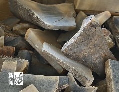 特大走私案！上海海关截获濒危犀牛角126块，接近40公斤