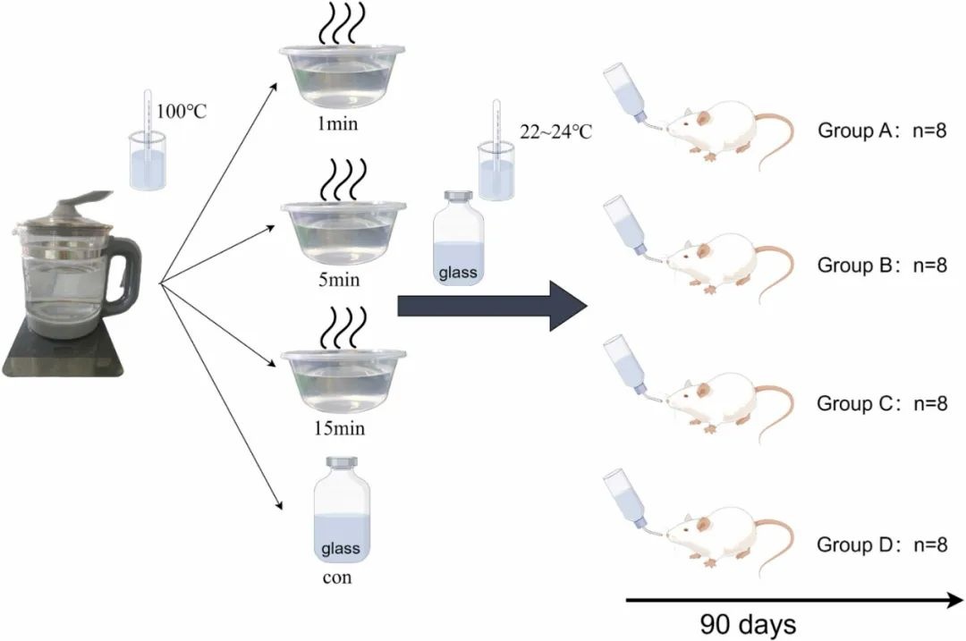 给小白鼠天天喝这种水:心脏坏了、炎症高了!不少人也天天喝 给小白鼠天天喝这种水:心脏坏了、炎症高了!不少人也天天喝