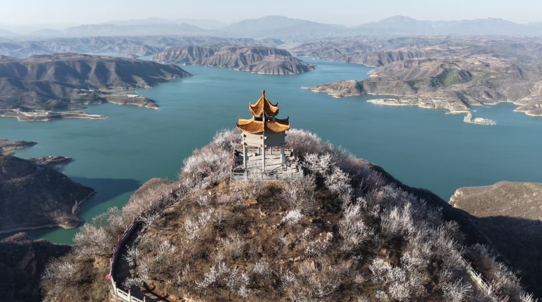 凭此证，老君山、白云山...多家景区免门票！