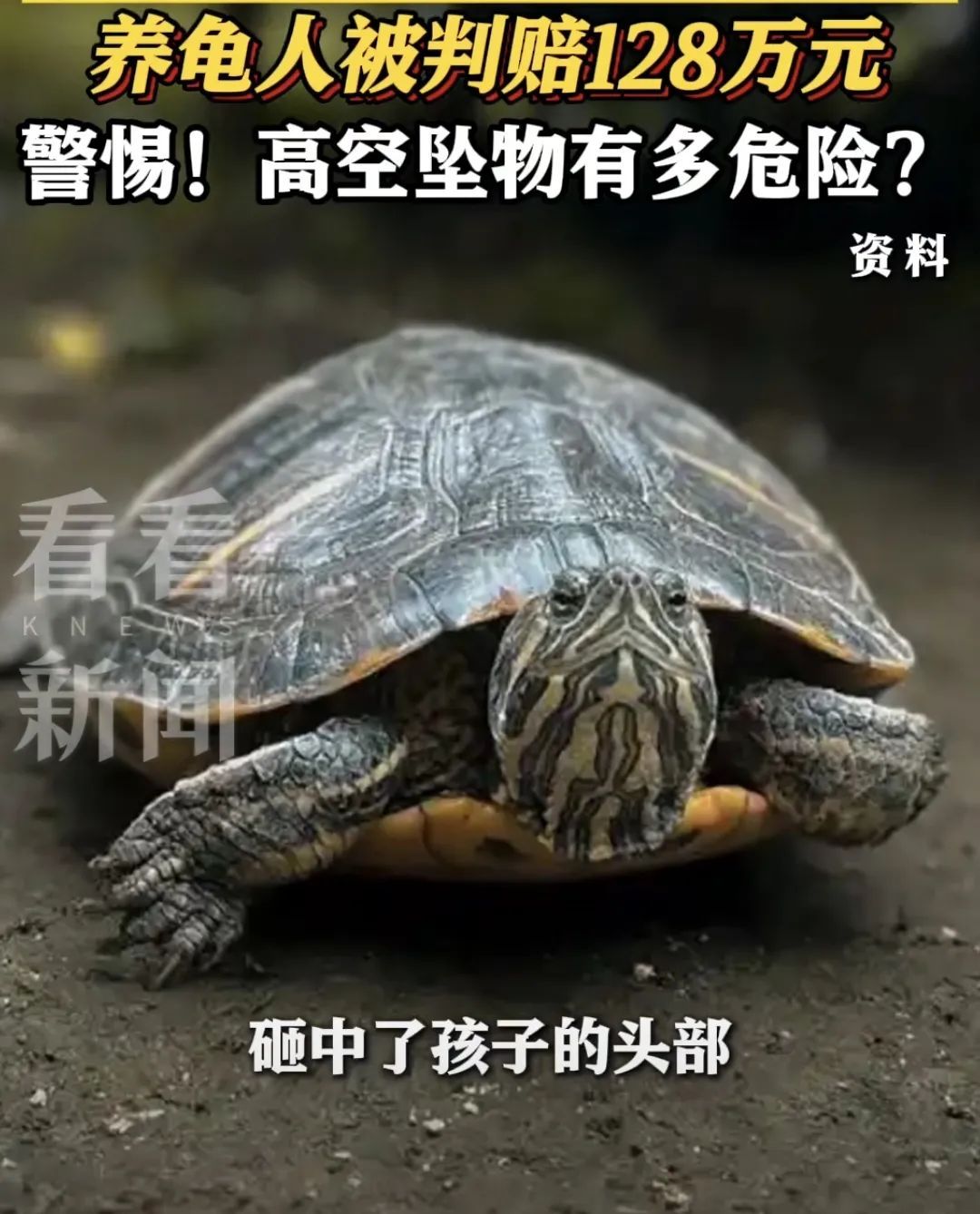 男孩在小区内意外身亡，原因令人难过