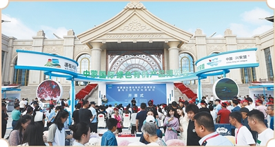 走进边陲小城，看对外交流“大文章”