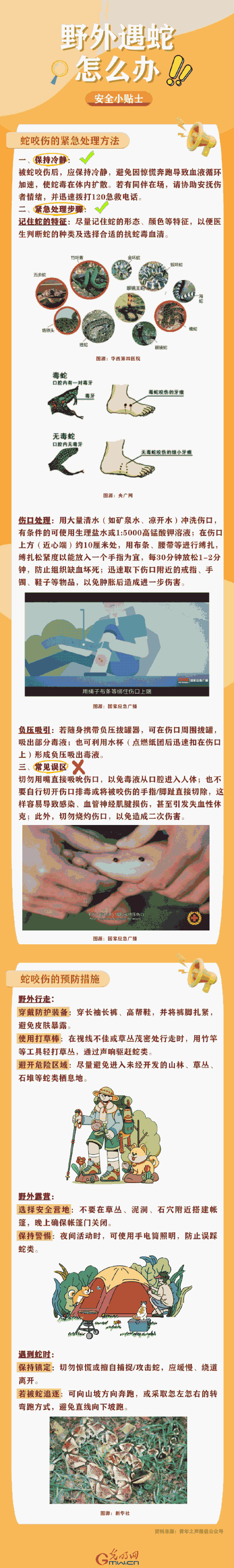 转发提醒!野外遇蛇怎么办 转发提醒!野外遇蛇怎么办