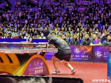 樊振东乒超获6连胜 樊振东乒超获6连胜