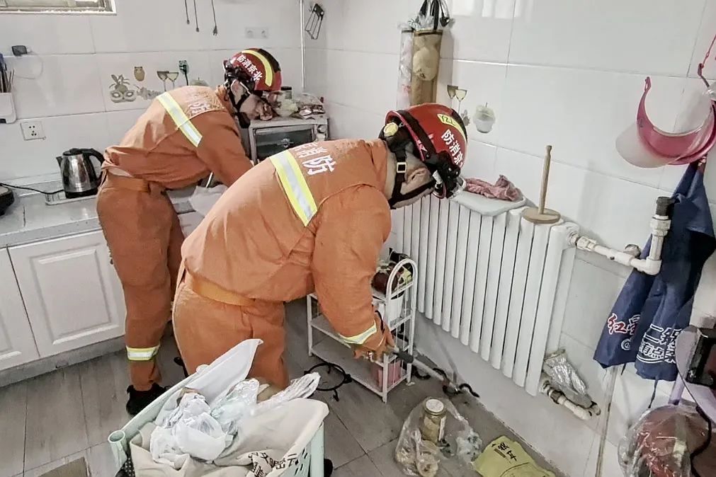 真吓人!车里、厨房、垃圾桶边……北京多地有蛇出没 真吓人!车里、厨房、垃圾桶边……北京多地有蛇出没