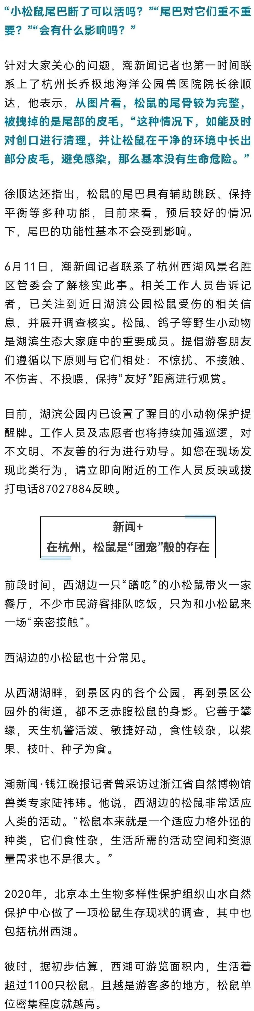 杭州西湖边有人拔断松鼠尾巴?西湖景区:正展开调查核实 杭州西湖边有人拔断松鼠尾巴?西湖景区:正展开调查核实