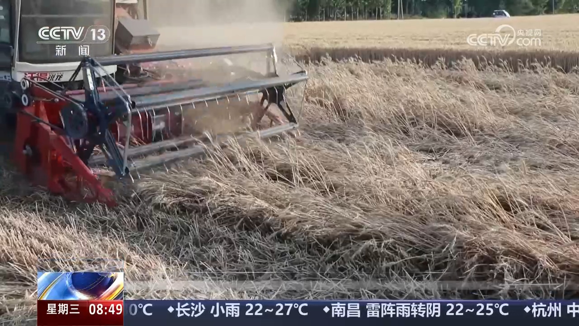 抢修道路、营救被困人员、跨省支援抢收小麦 各地积极有效应对强降雨 抢修道路、营救被困人员、跨省支援抢收小麦 各地积极有效应对强降雨