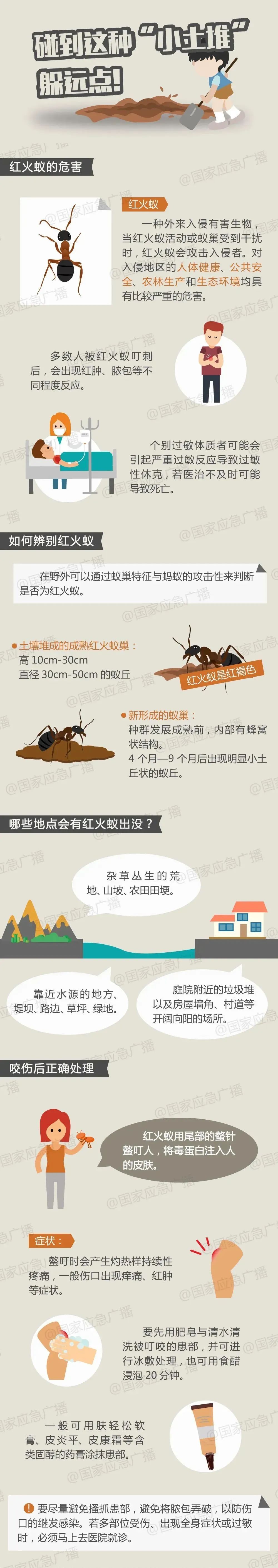 警惕！被咬后严重会导致休克！见到这种小土丘躲远点......
