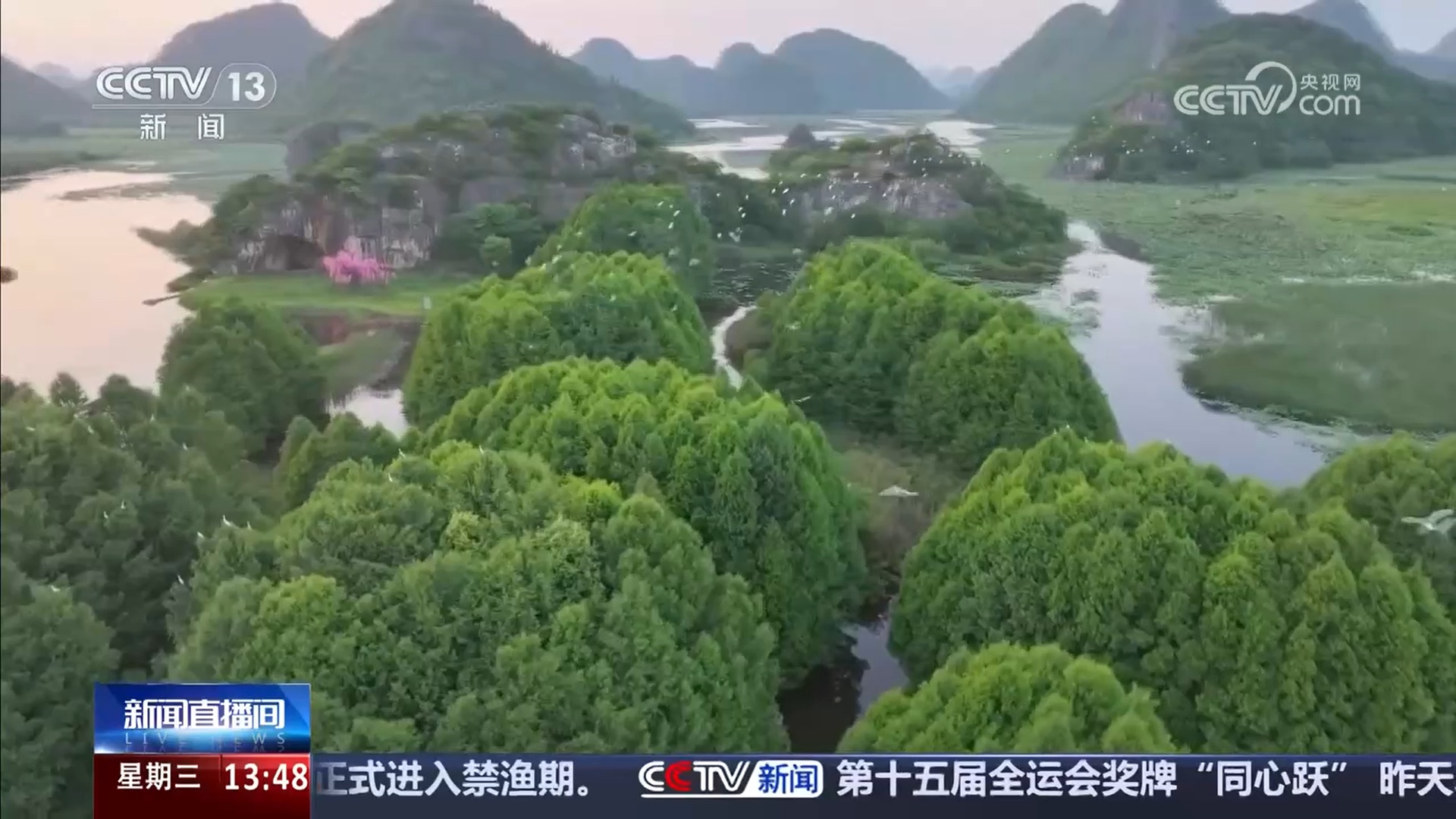 生态改善生物多样性更丰富 珍稀鸟类频出现 美丽中国画卷多姿多彩 生态改善生物多样性更丰富 珍稀鸟类频出现 美丽中国画卷多姿多彩