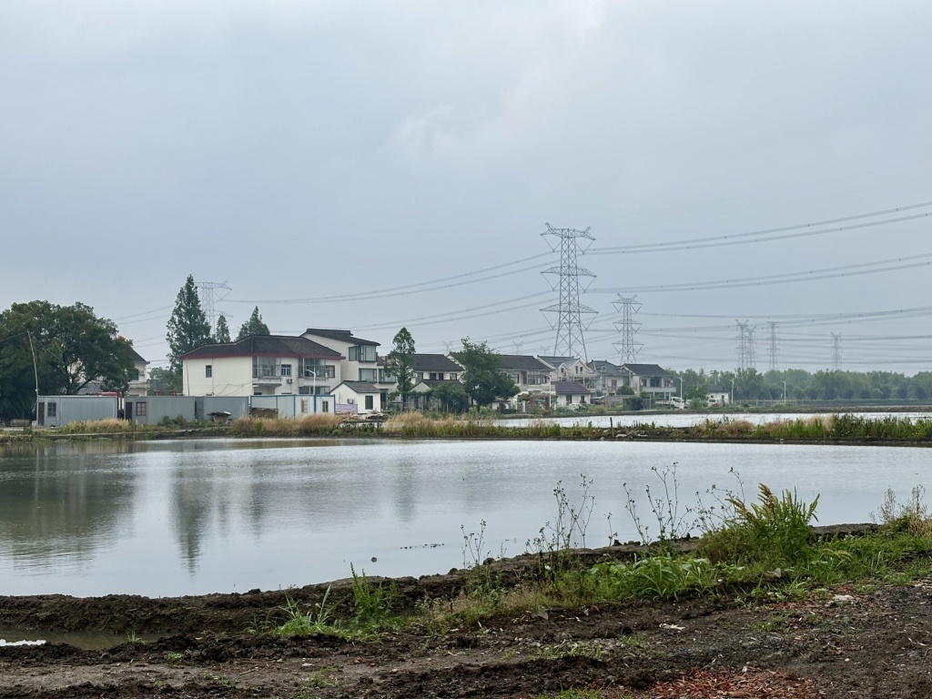 重返上海郊野｜消失的“顶级捕食者”如何归来？