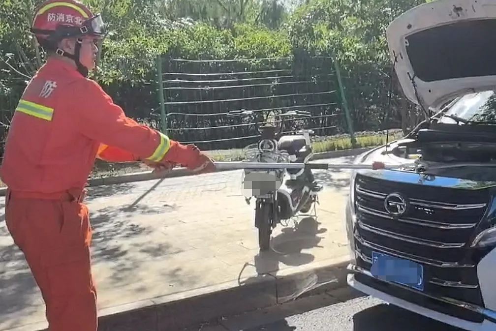 真吓人!车里、厨房、垃圾桶边……北京多地有蛇出没 真吓人!车里、厨房、垃圾桶边……北京多地有蛇出没