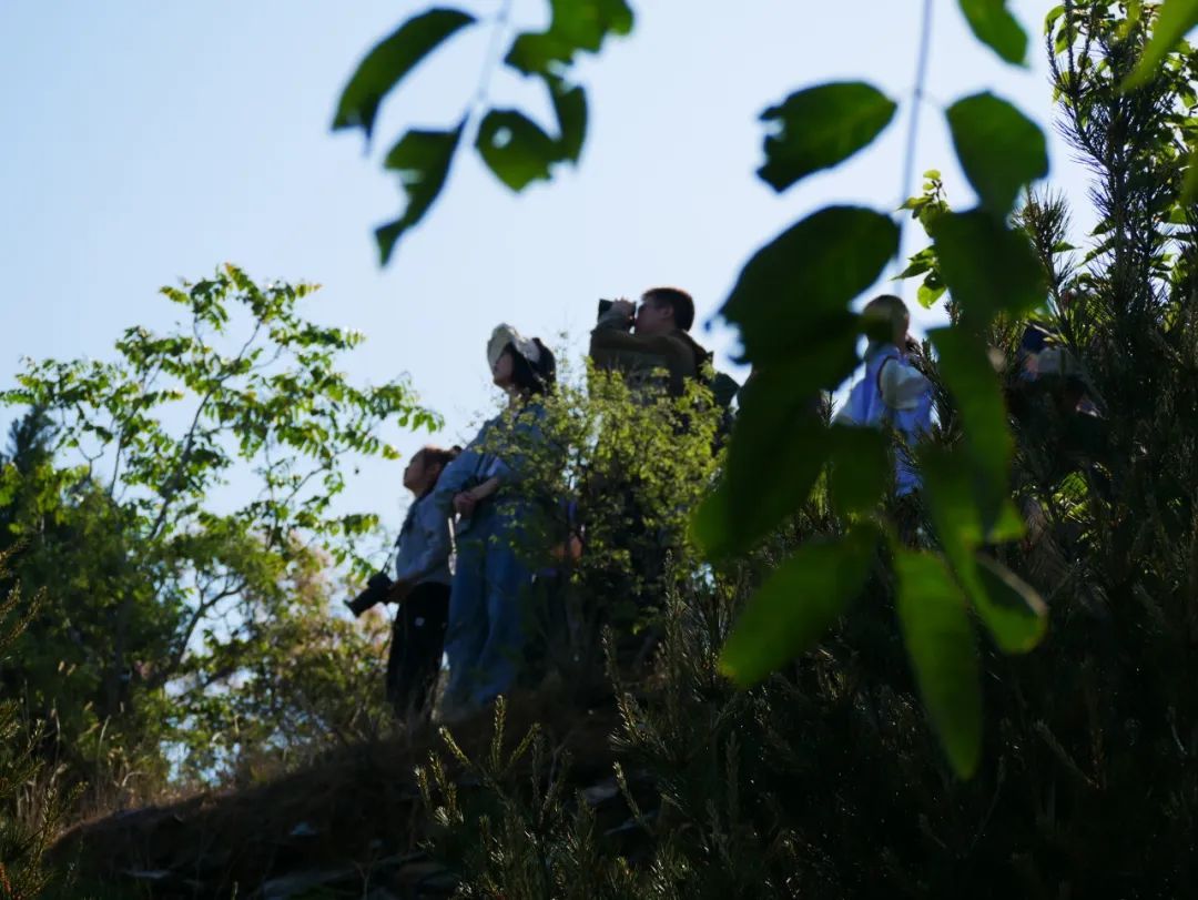 年轻人加入观鸟大军:“打鸟”这个词应当被抵制 年轻人加入观鸟大军:“打鸟”这个词应当被抵制