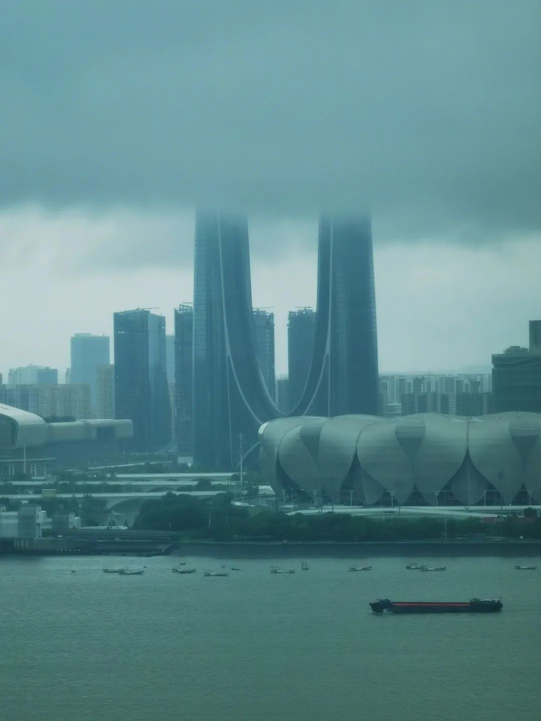 1号台风“蝴蝶”正式生成！杭州接下来的天气很复杂