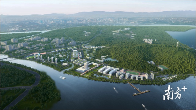 大湾区大学来了！拟今年开始招生