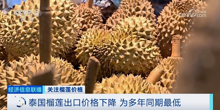 降！降！降！榴莲多年来最低价的背后是这些原因→