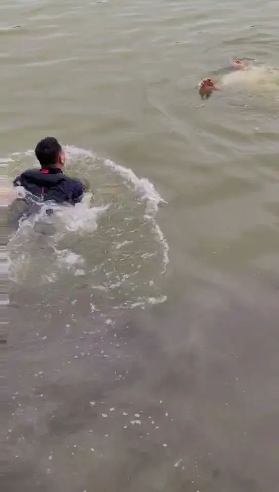 “再救你就没命了!”男子连救4人后向母亲磕头,这一幕泪目 “再救你就没命了!”男子连救4人后向母亲磕头,这一幕泪目