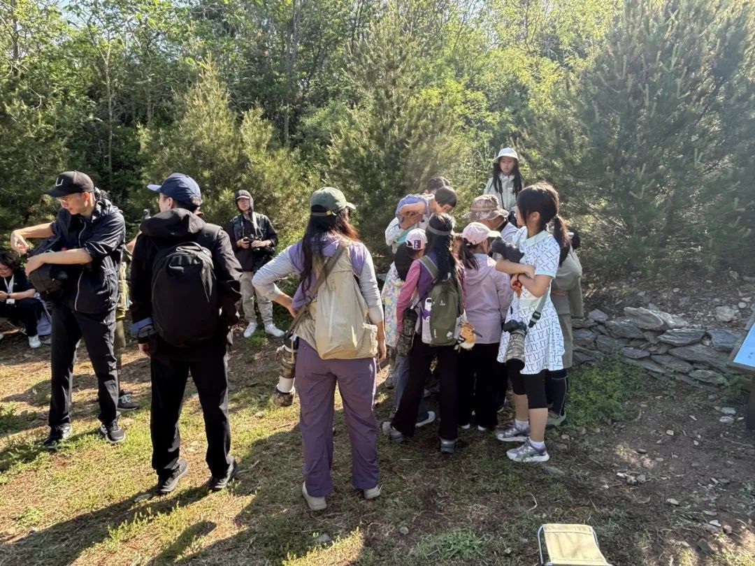 年轻人加入观鸟大军:“打鸟”这个词应当被抵制 年轻人加入观鸟大军:“打鸟”这个词应当被抵制